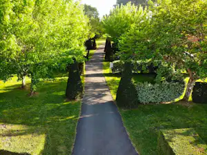Campingweg zwischen grünen Bäumen und Hecken, mit Rasenflächen links und rechts.