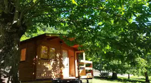 Holzhütte mit Veranda und Stufen im Grünen, umgeben von Bäumen und Rasen im Campingbereich.