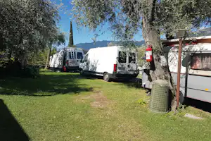 Wohnmobile auf einem Campingplatz auf grünem Gras, neben Bäumen und einem Müllbehälter am Stellplatz.