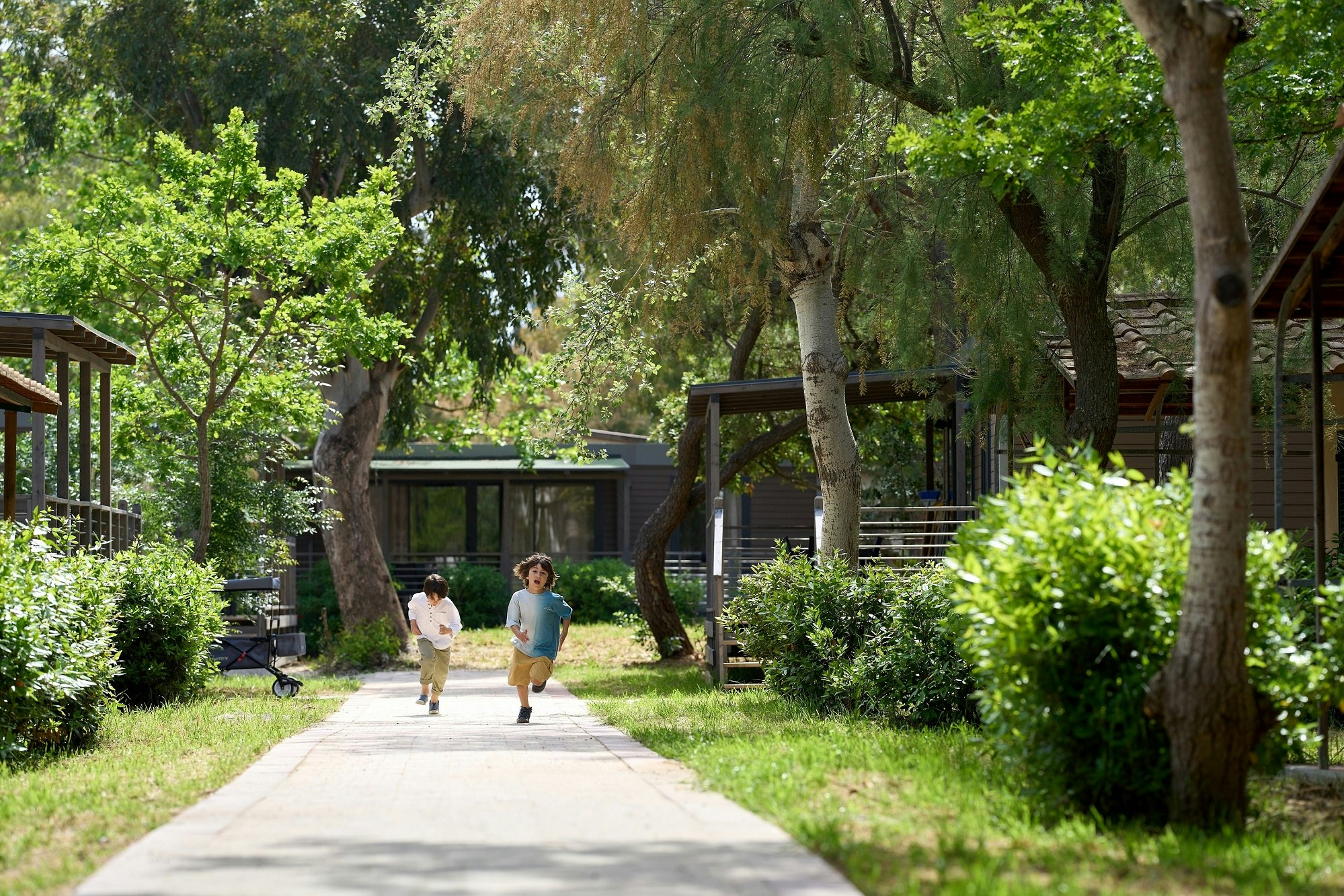 Camping Campo dei Fiori - Mobilheime umgeben von Bäumen und kleinen Sträuchern