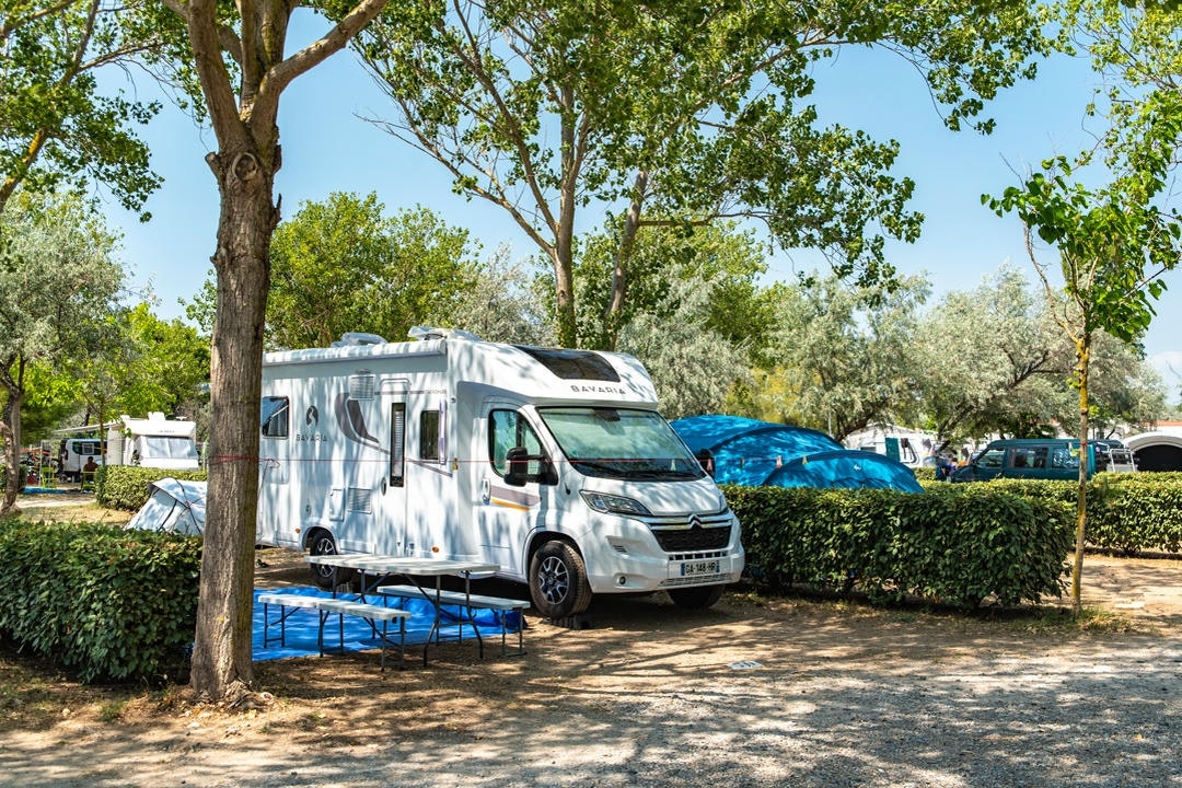 Wohnmobil auf einem Stellplatz im Grünen, mit Hecke, Bäumen und weiteren Fahrzeugen im Hintergrund.