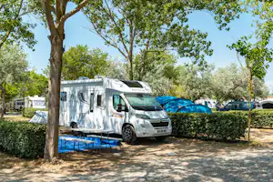 Wohnmobil auf einem Stellplatz im Grünen, mit Hecke, Bäumen und weiteren Fahrzeugen im Hintergrund.