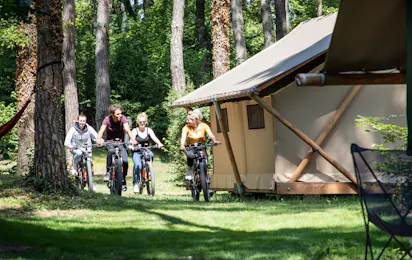 Camping La Pinède - Excenevex
