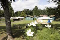 Camping Le Lac des Sapins - Blick auf den Campingplatz mit Mobilheimen im Grünen