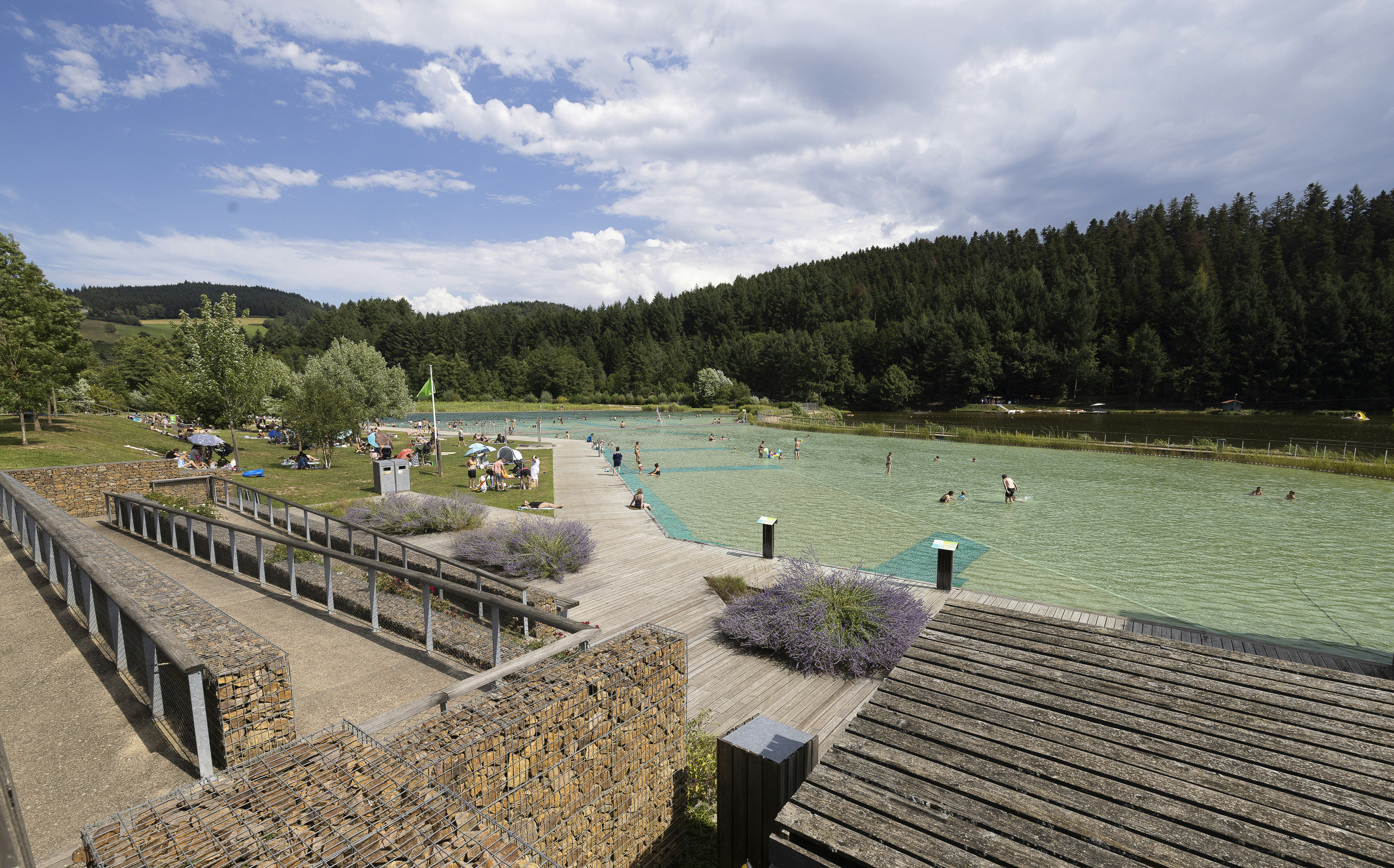 Camping Le Lac des Sapins - Naturbadeteich auf dem Campingplatz