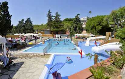 Sènia Cala Canyelles