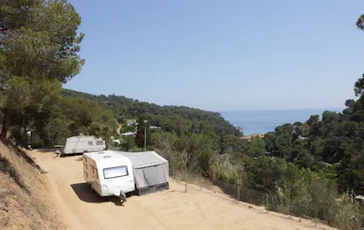 Sènia Cala Canyelles