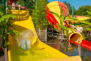 Gelbe Wasserrutsche und roter Wasserbereich mit Kinderbecken auf dem Campingplatz, im Hintergrund Holzgeländer und Bäume.