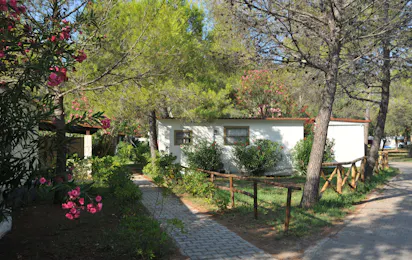 Camping Capo Vieste