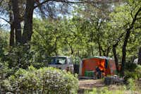 Camping Caravaning Domaine de la Bergerie - Zelt auf einem Stellplatz im Schatten der Bäume