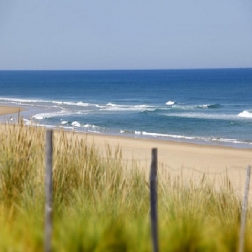 Camping - Caravaning Domaine du Blanc Pignon