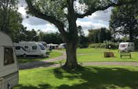 Golden Square - Caravan and Camping Park