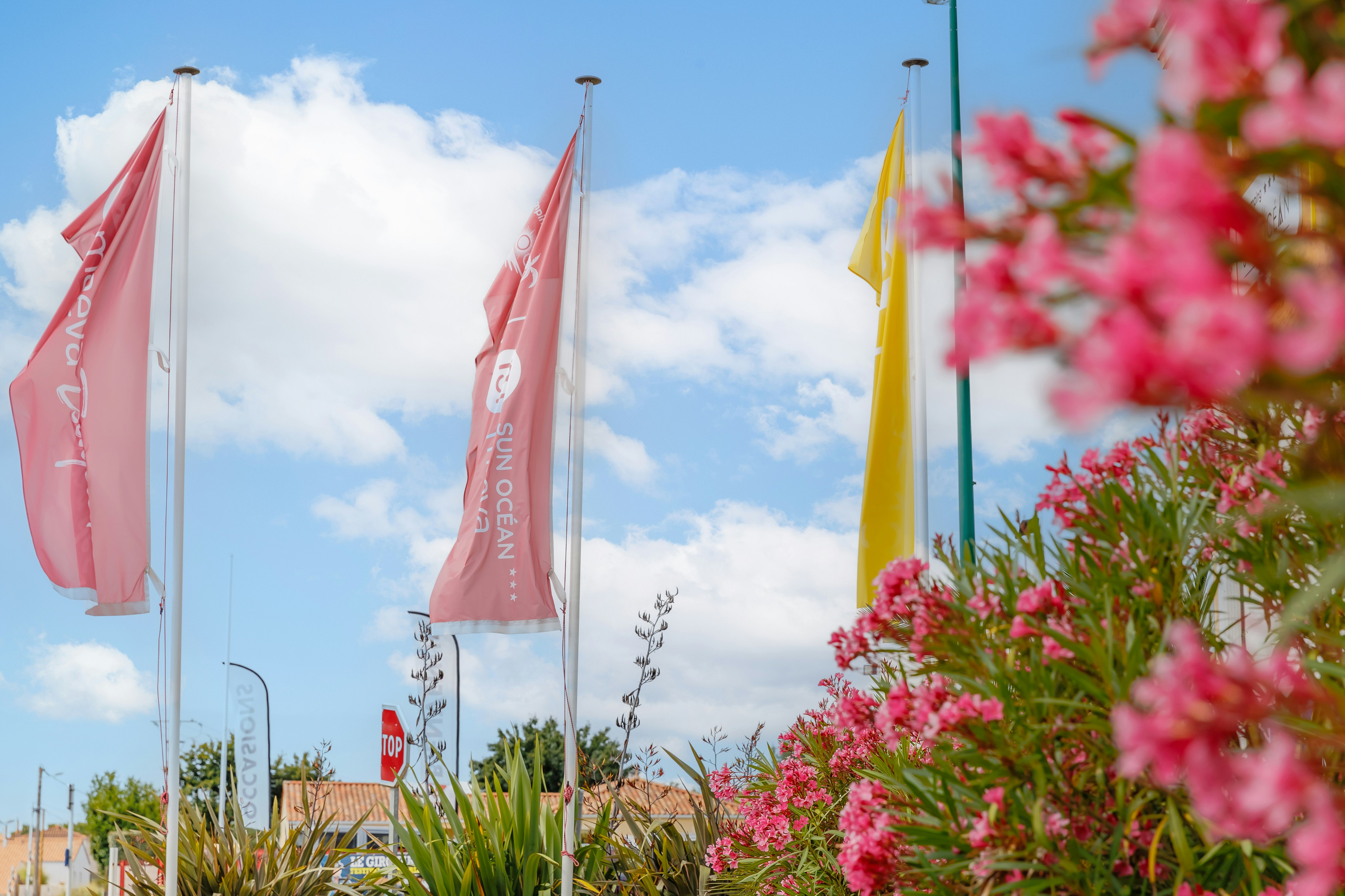 Camping Sun Ocean - Blick auf den Campingplatz