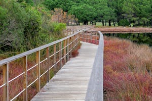 Camping-Caravaning U Pinarellu - Brücke über den See