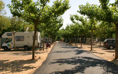 Camping Carlos III