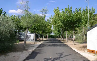 Camping Carlos III