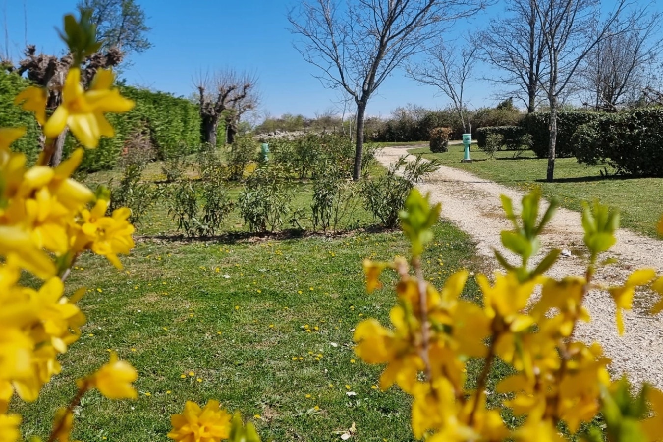 Camping Carrefour De L'Ardèche