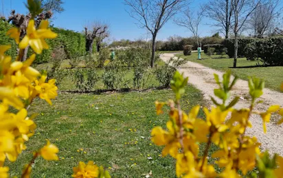 Camping Carrefour De L'Ardèche