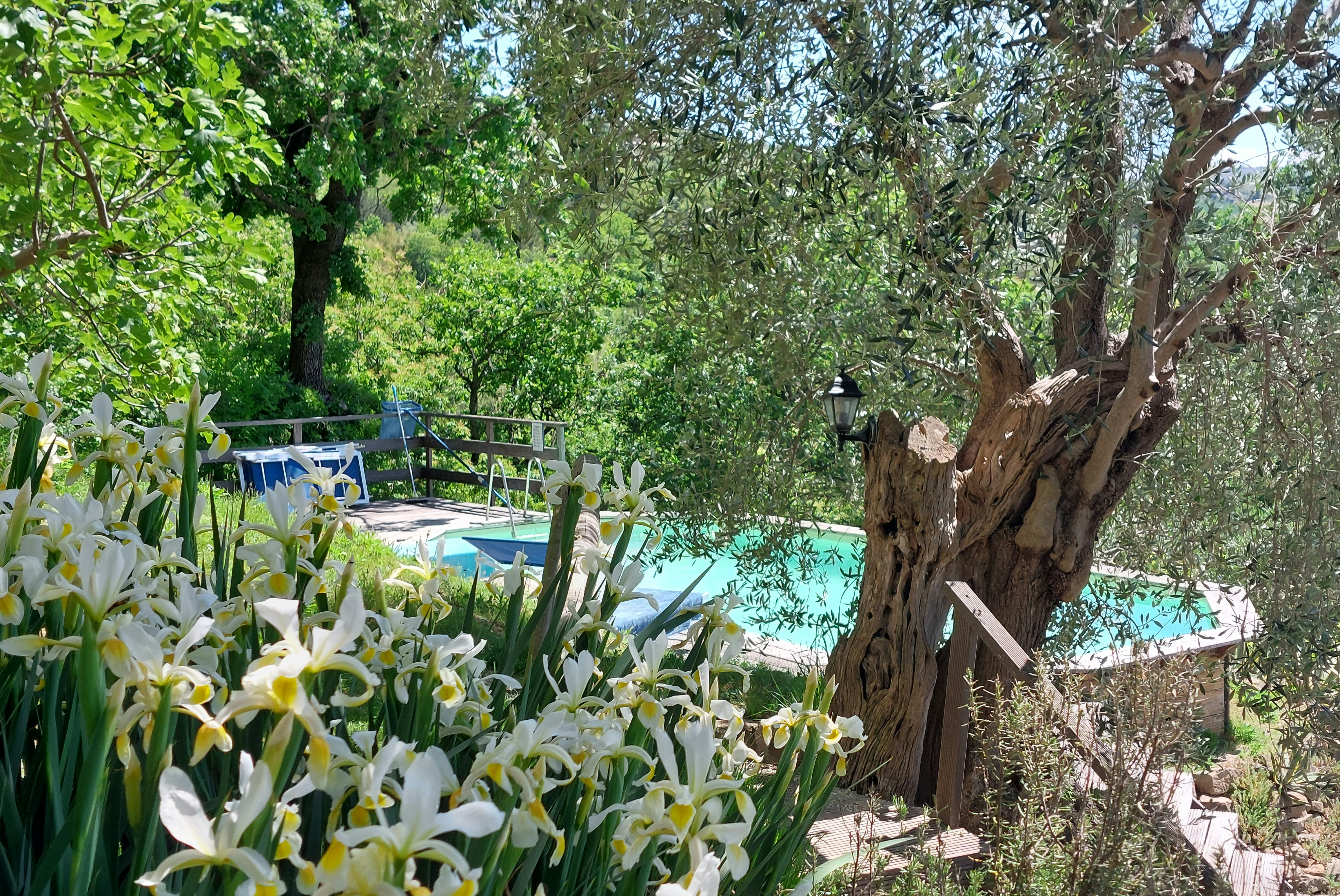 Camping Casa Aurora - Pool auf dem Campingplatz