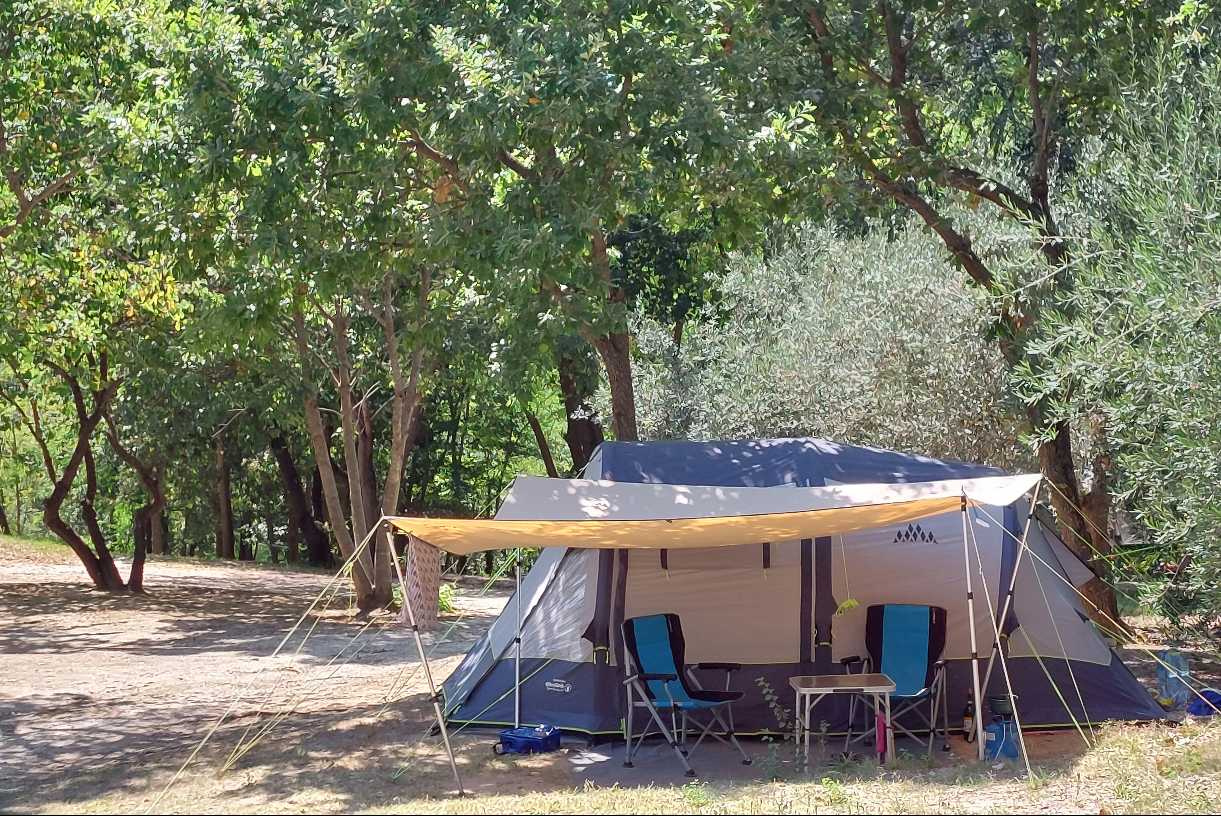 Camping Casa Aurora - Standplätze zwischen den Bäumen auf dem Campingplatz