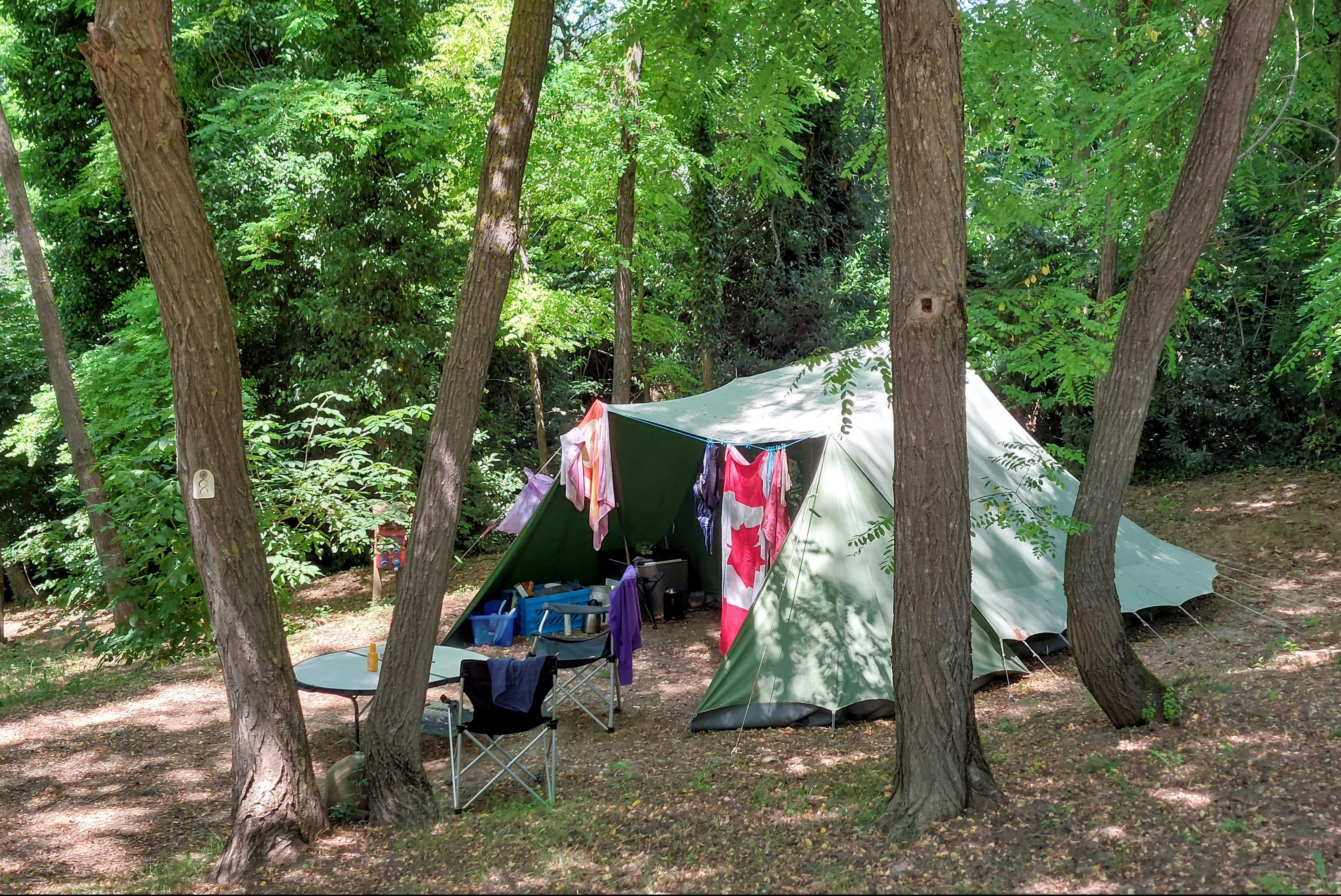 Camping Casa Aurora - Zeltplatz zwischen den Bäumen auf dem Campingplatz