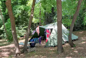 Camping Casa Aurora - Zeltplatz zwischen den Bäumen auf dem Campingplatz
