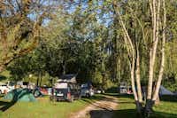 Camping Casavecchia -  Wohnwagenstellplätze im Grünen auf dem Campingplatz