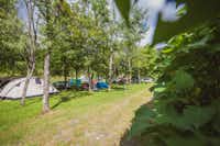 Camping Casavecchia - Standplätze umgeben von Bäumen