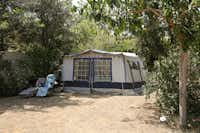 Camping Castell Park - Zeltplatz im Schatten der Bäume auf dem Campingplatz