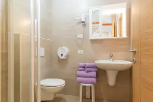 Badezimmer mit Dusche, WC und Waschbecken, Holzverkleidung und Handtuchhalter, helles Fenster im Wohnbereich.