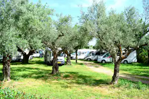 Camping & Bungalows Castle View