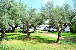 Camping & Bungalows Castle View