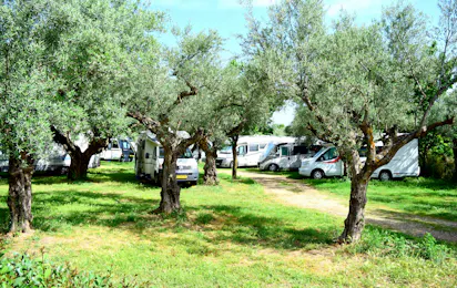 Camping & Bungalows Castle View