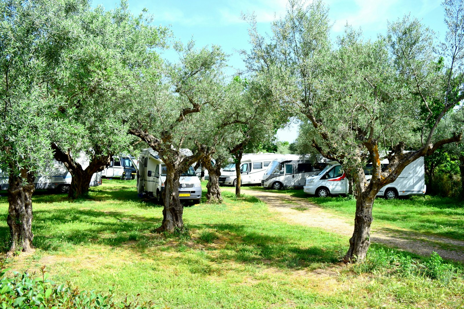 Camping & Bungalows Castle View