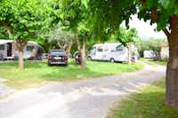 Camping Castle View -  Wohnwagenstellplätze im Grünen auf dem Campingplatz