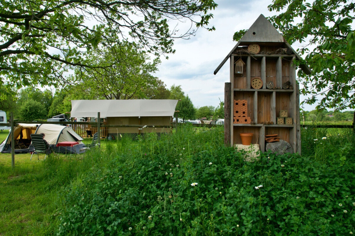 Camping Catsop - Glamping-Zelte auf dem Campingplatz