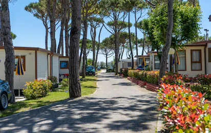 Baia Holiday Cavallino