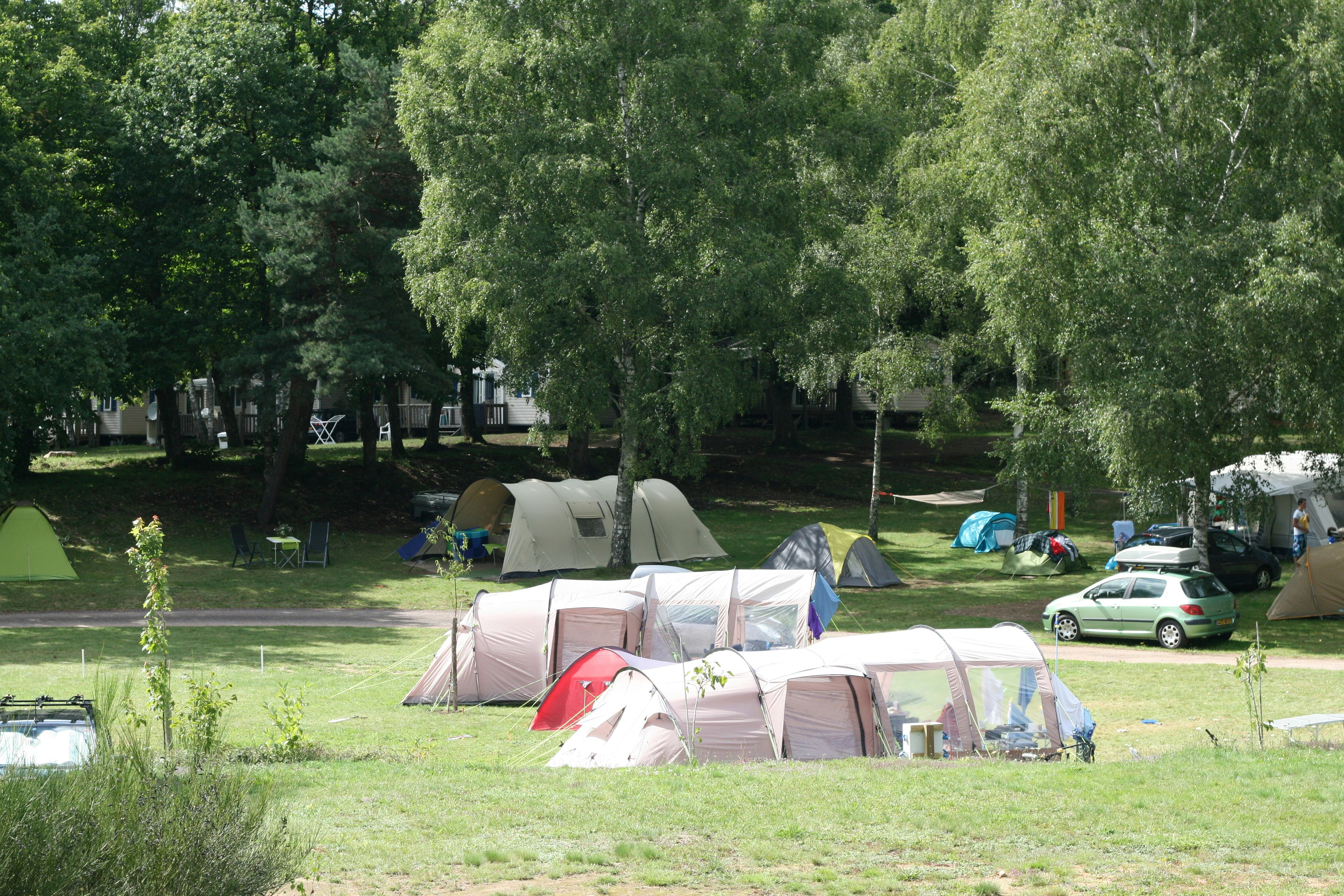 Zelte auf einem Campingplatz im Grünen, mit Bäumen, Rasenfläche und geparkten Autos am Rand.