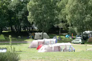 Zelte auf einem Campingplatz im Grünen, mit Bäumen, Rasenfläche und geparkten Autos am Rand.