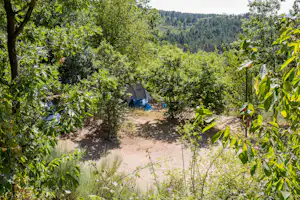 Camping Cepo Verde - Blick auf die Stellplätze im Grünen