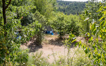 Cepo Verde