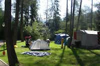 Camping Cevedale - Zelte zwischen Bäumen auf dem Campingplatz