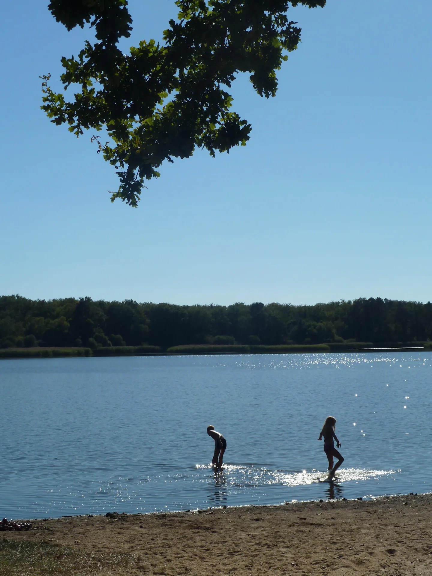 Camping Champ de la Chapelle