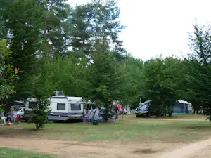 Wohnmobile und Zelte auf einem Campingplatz zwischen Bäumen, mit Rasenfläche und Schotterweg.
