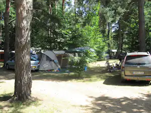 Campingplatz im Wald: Zelt und Wohnwagen neben geparkten Autos, Fahrrad am Weg zwischen Bäumen.