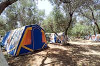 Camping Chaniá - Blick auf die Zeltplätze unter den Bäumen