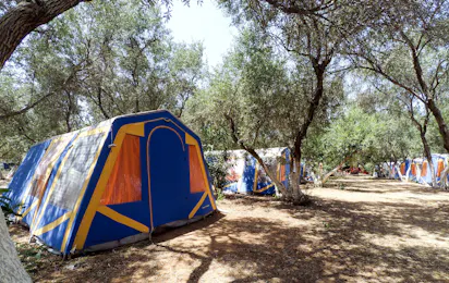 Camping Chaniá