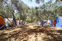Camping Chaniá - Zeltplätze im Halbschatten
