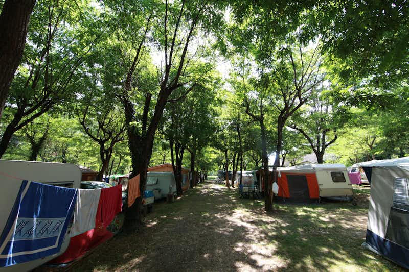 Camping Chaulet Plage - Wohnwagen- und Zeltstellplatz zwischen Bäumen