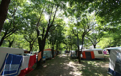 Camping Chaulet Plage